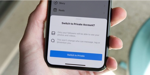 Anonymous Instagram Story viewing on a private account with Instagram privacy settings illustration